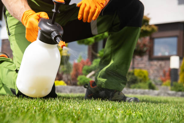 Best Ant Control Services  in South Boston, VA