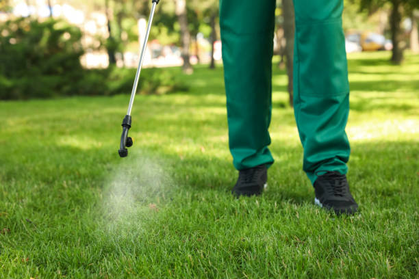 Best Commercial Pest Control Services  in South Boston, VA