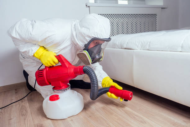 Best Best Pest Control Companies  in South Boston, VA