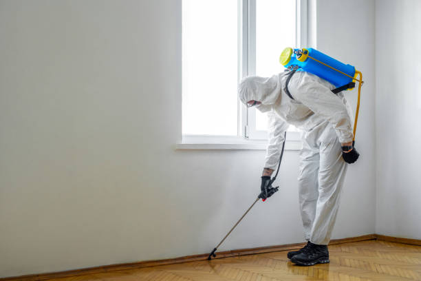 Trusted South Boston, VA Pest Control Experts