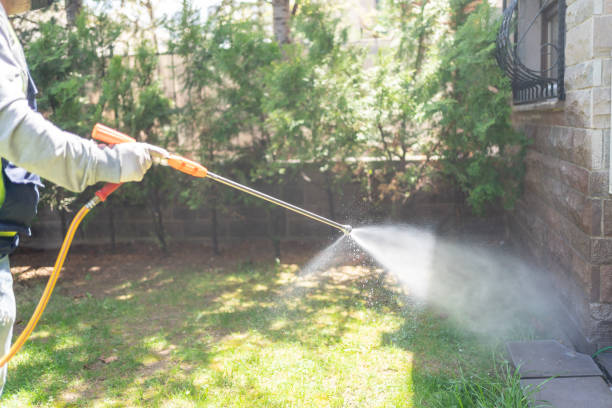 Best Mosquito Control Services  in South Boston, VA
