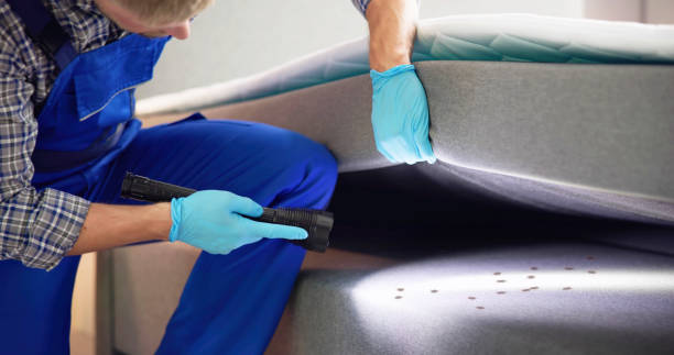 Best Termite Control Services  in South Boston, VA
