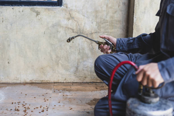 Professional Pest Control in South Boston, VA